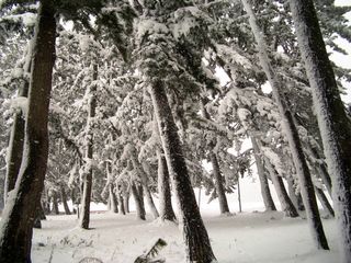 琵琶湖西岸の冬景色