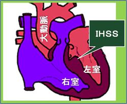 図4 IHSS日本語